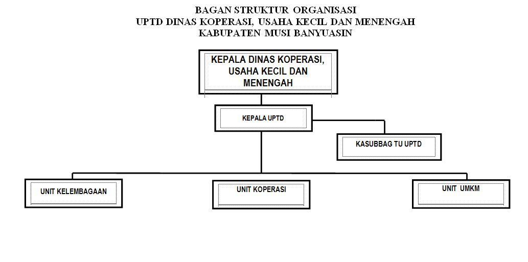 Struktur Organisasi Usaha Kecil Menengah